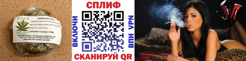 Купить закладки  Облучье  Еда ТГК марихуана 