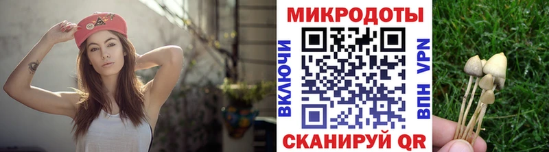 Купить  Облучье  Псилоцибиновые грибы прущие грибы 